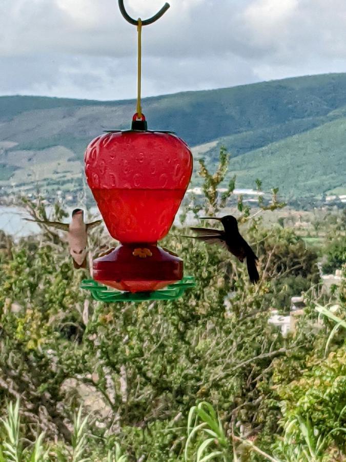 Los Dos B&B Villas Jocotepec Dış mekan fotoğraf